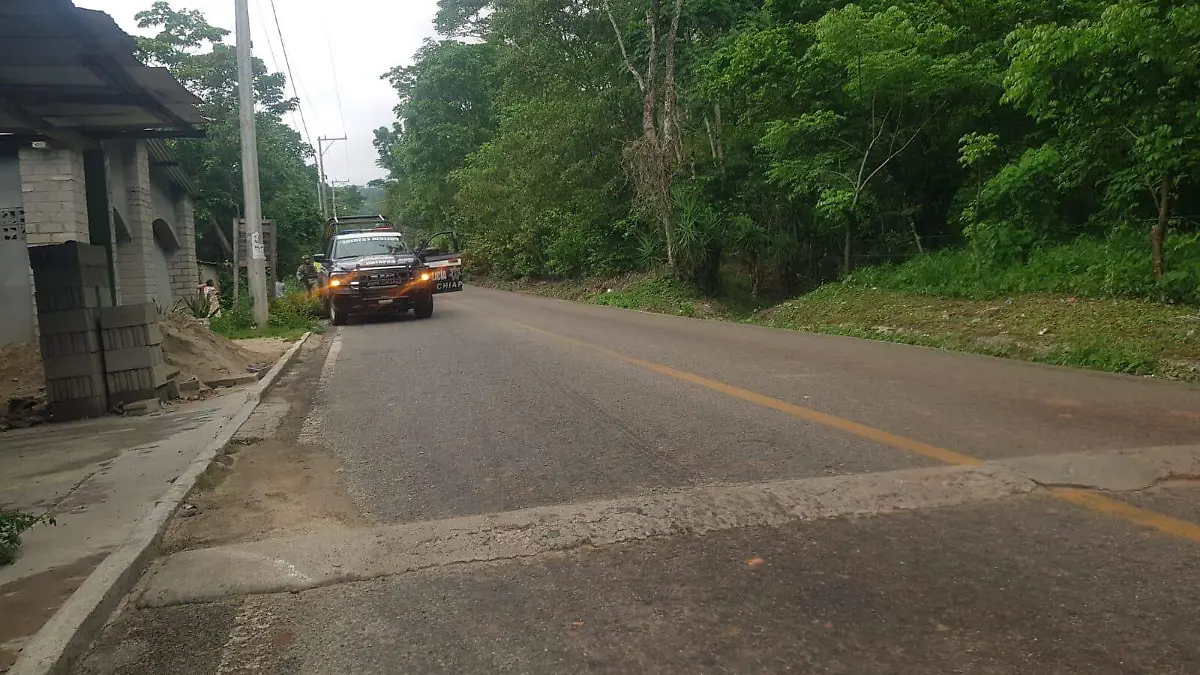 patrulla en carretera